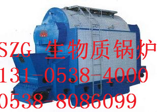 桐鄉(xiāng)大型天然氣鍋爐