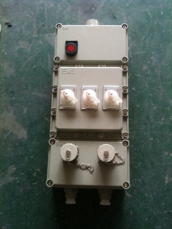 BXX51防爆檢修箱