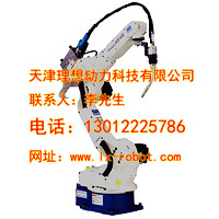 河北省數(shù)字噴碼機(jī)代理 機(jī)器人打包頭