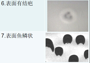 科視創(chuàng)鋰電池極片檢測(cè)-表面有結(jié)疤/魚(yú)鱗狀