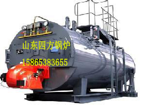 豐城燃?xì)忮仩t廠家