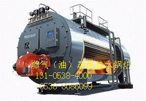 山東濟南市高新區(qū)燃料油鍋爐