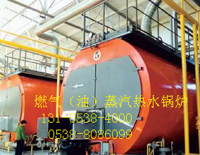 蛟河節(jié)能燃?xì)忮仩t