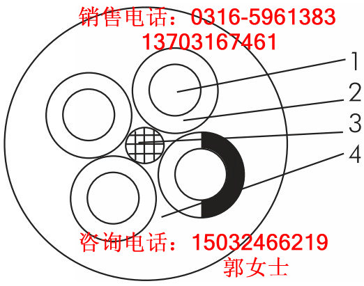 天津西青區(qū)太陽(yáng)能黃綠板接地線620CM