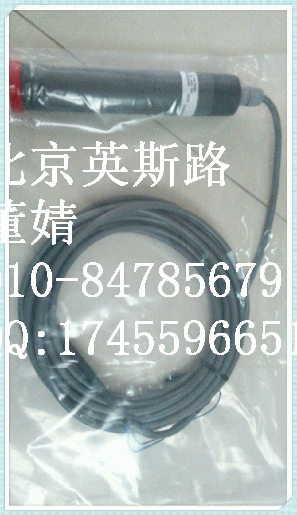 HONEYWELL 電極 DL5PPB-300-0000-000