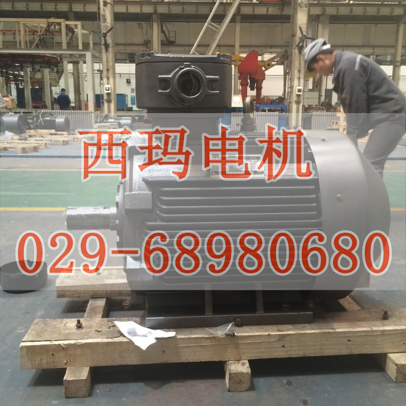 YZ250M2-6/YZ250M2-6起重設(shè)備專用電機(jī)廠家直銷