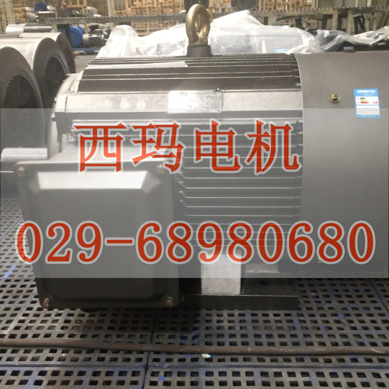 YZR400L2-10雙出軸（雙軸伸）起重電動機(jī)壹年質(zhì)保