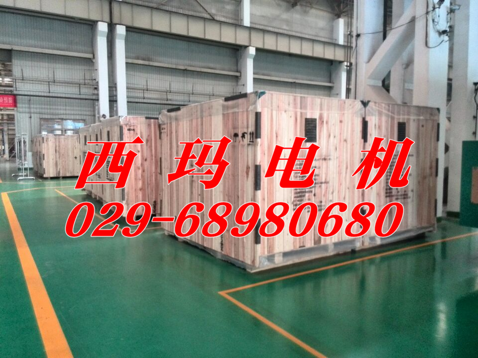 【JS147-10 355KW 380V】JS系列電動(dòng)機(jī)調(diào)試安裝