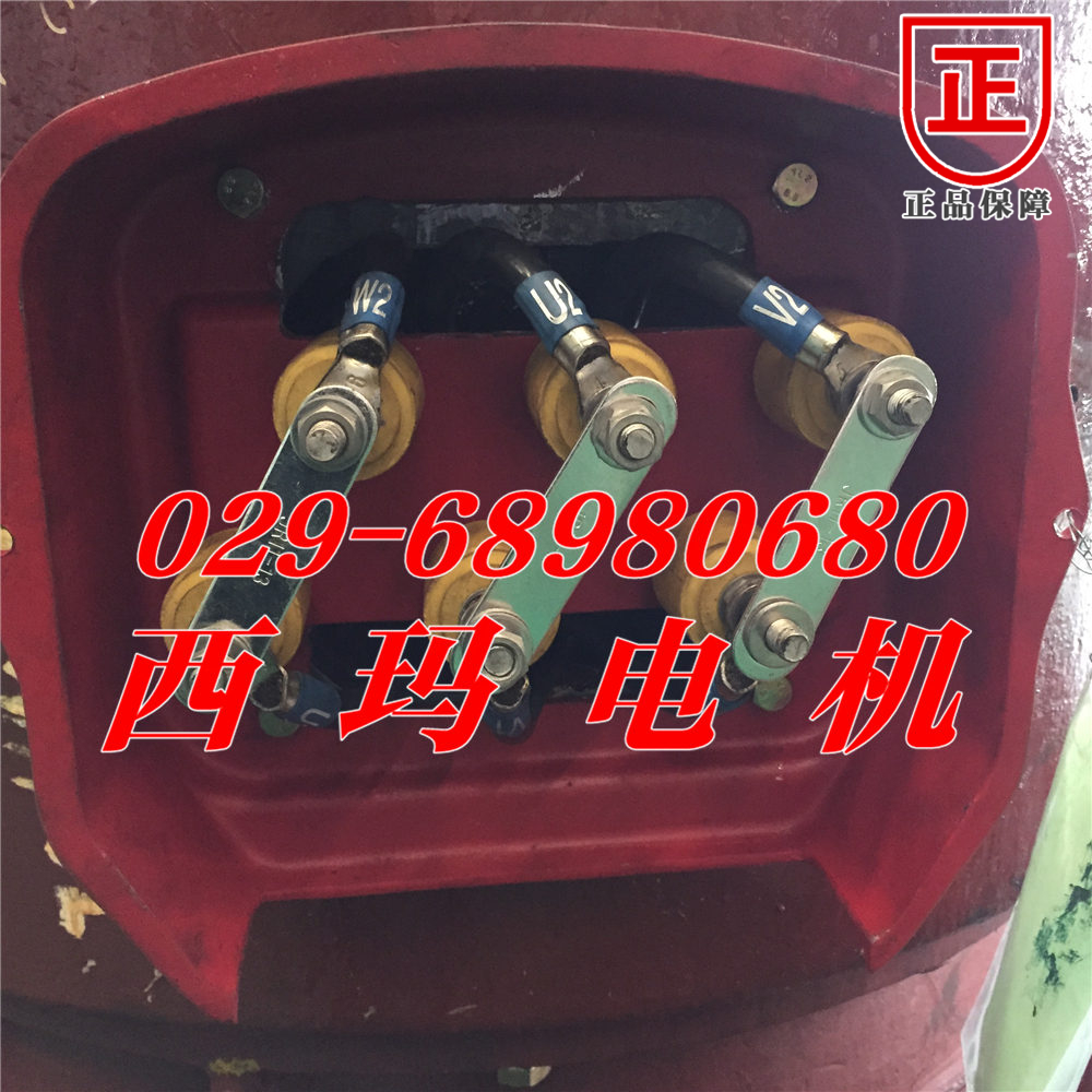 YE4-315L1-4超高效率電機一年質保