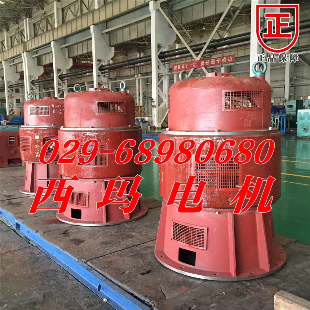 YZP355L1-10/YZP355L1-10起重電動(dòng)機(jī)生產(chǎn)廠家