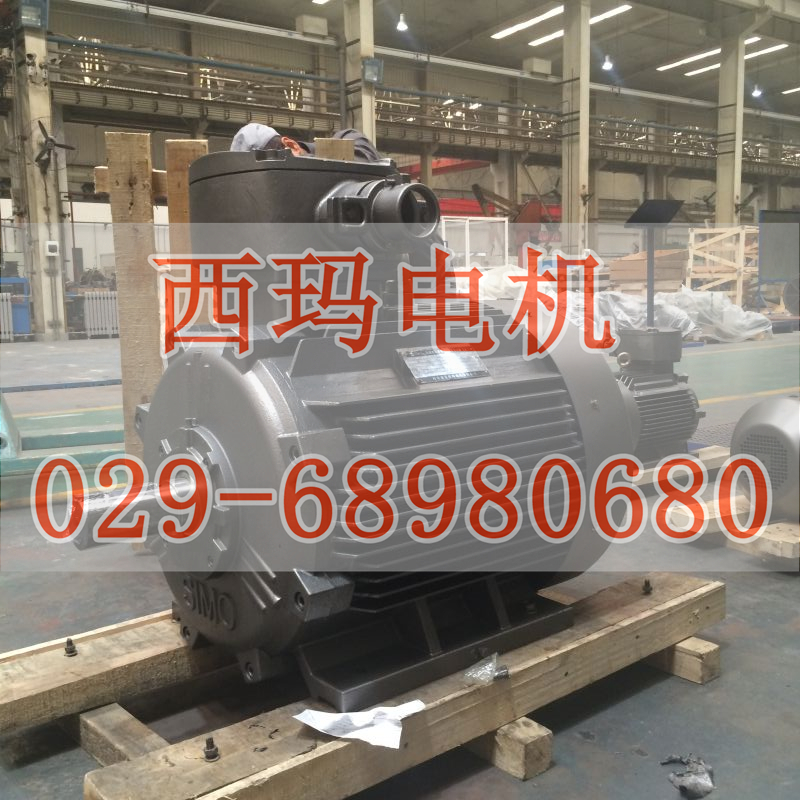 YE4-132S2-2高效節(jié)能電機(jī)價(jià)格最低