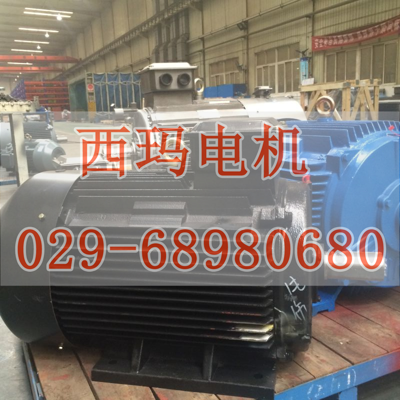 YE4-315L1-6超超高效率電機一年質(zhì)保
