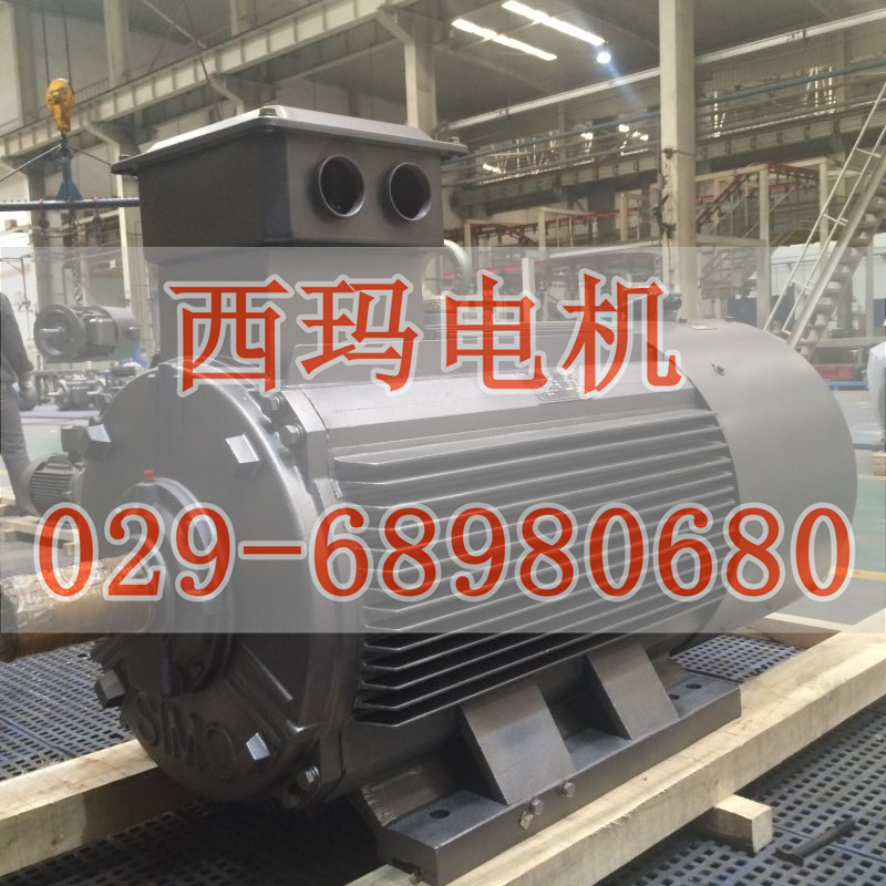 YGP355L3-6 160KW/380V 50HZ變頻輥道電機一年質(zhì)保【鴻泰電機】