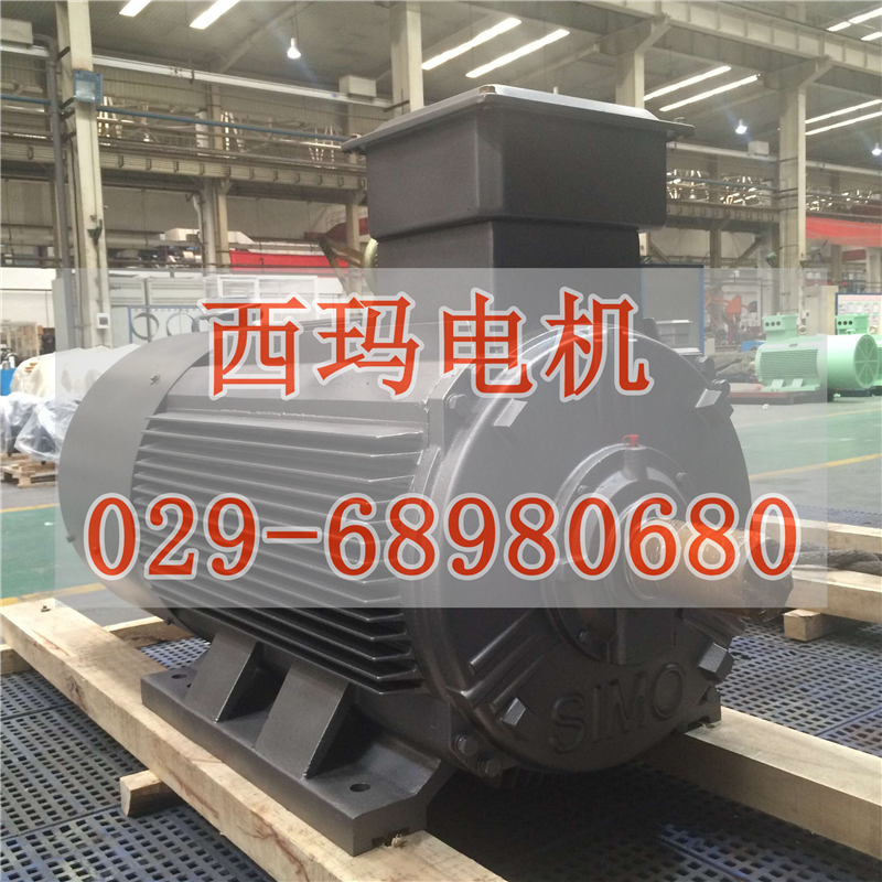 YE4-200L2-2高效節(jié)能電機現(xiàn)貨