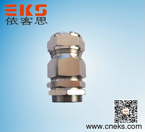 依客思供應(yīng)優(yōu)質(zhì)不銹鋼格蘭頭，DN20防爆填料函低價(jià)批發(fā)