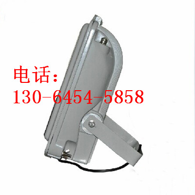 防水防塵防震防眩燈SAS2044D 生產(chǎn)廠家