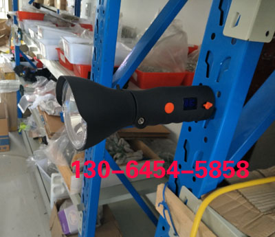 BZ7401 BZ7401手持強(qiáng)光工作燈