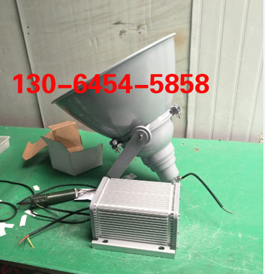 投射燈GD1101 投光燈廠家