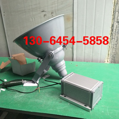 LHF2300超強防震型投光燈 分體式防震投光燈