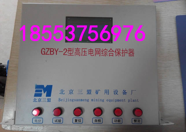 DZBY-2型低壓電網(wǎng)綜合保護(hù)器+務(wù)實