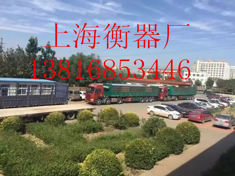 《業(yè)務(wù)咨詢》。杭州電子地磅廠家