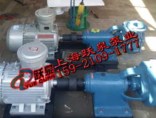 uhb砂漿泵_壓濾機(jī)進(jìn)料泵100UHB-ZK-80-30