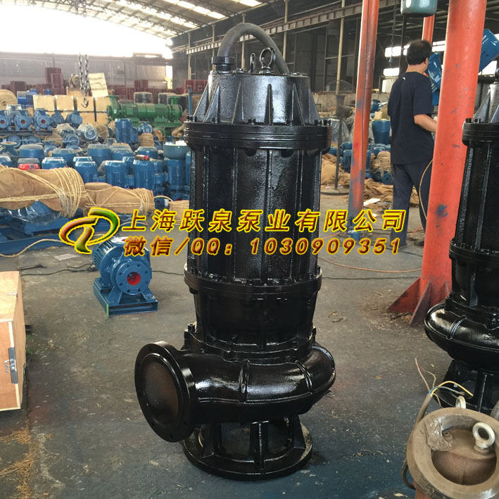 供應(yīng)350WQ1100-10-55排污潛水泵
