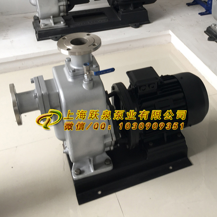 排污自吸泵ZW50-10-20市場分析