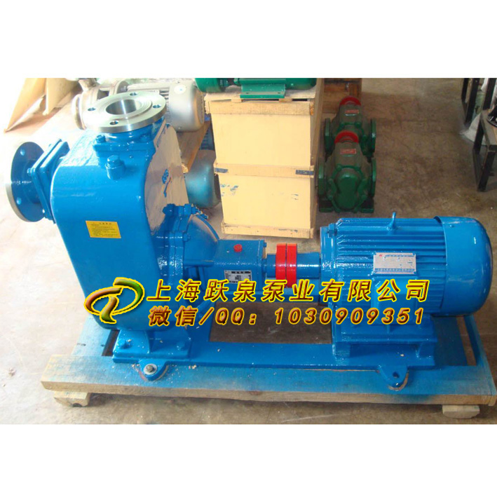 自吸排污泵原理ZW100-80-80泵試驗臺