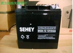西力蓄電池HS12V80ah報價