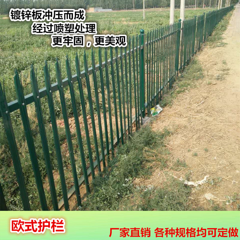 歐式鋅鋼護欄公園農(nóng)場草坪柵欄小區(qū)別墅圍欄安平縣名策絲網(wǎng)制品有限公司