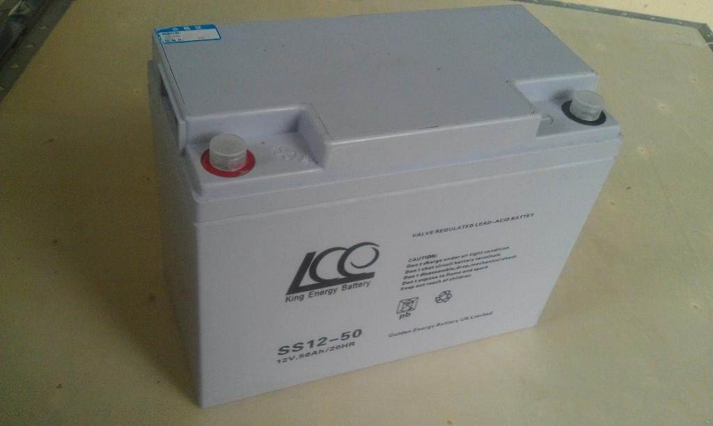 金能量蓄電池SS12-100性能
