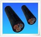 天聯(lián)牌直銷廣播節(jié)目，數(shù)據(jù)和其他電信號電纜