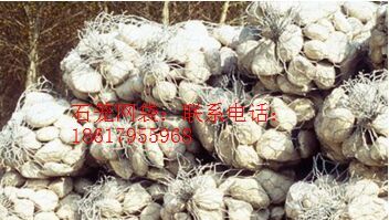 石籠網(wǎng)袋、石籠網(wǎng)兜、合金網(wǎng)兜