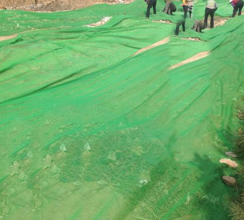 天津建筑專(zhuān)用防塵網(wǎng)--天津防塵網(wǎng)報(bào)價(jià)