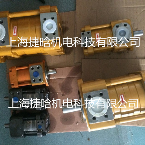 供應(yīng)NT5-G125F內(nèi)嚙合齒輪泵配套剪板機用泵