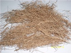 廣州棕櫚纖維進(jìn)口報(bào)關(guān)需要什么資料