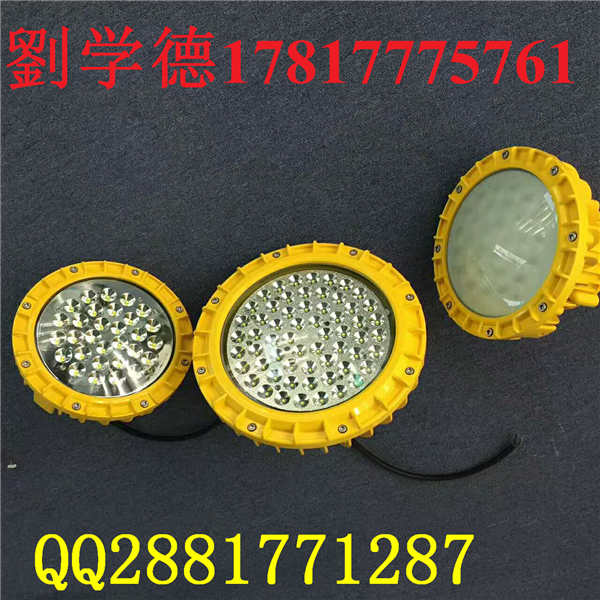 LED60W防爆隧道燈10W-250W