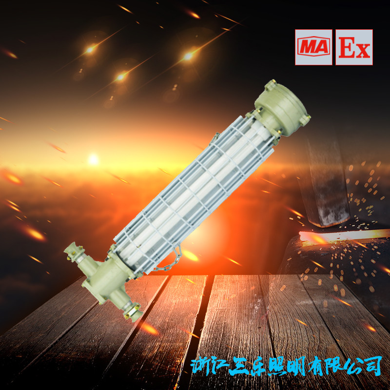 長(zhǎng)型礦燈DGS36/127Y(A)礦用熒光燈