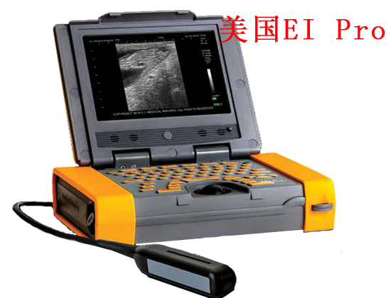 進(jìn)口驢用B超