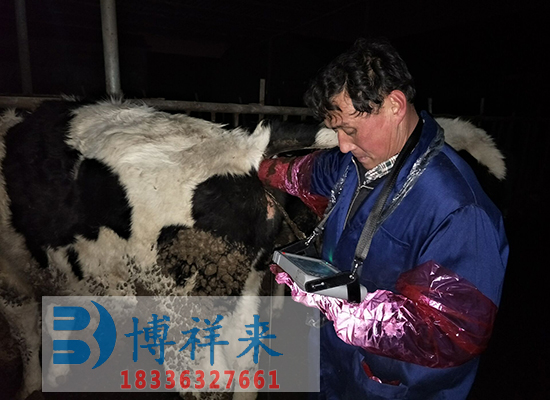 天津津南牛用B超設(shè)備廠家