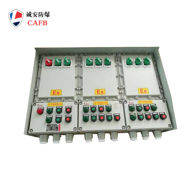 溫州誠(chéng)安防爆電器有限公司 專業(yè)生產(chǎn)風(fēng)機(jī)防爆控制箱