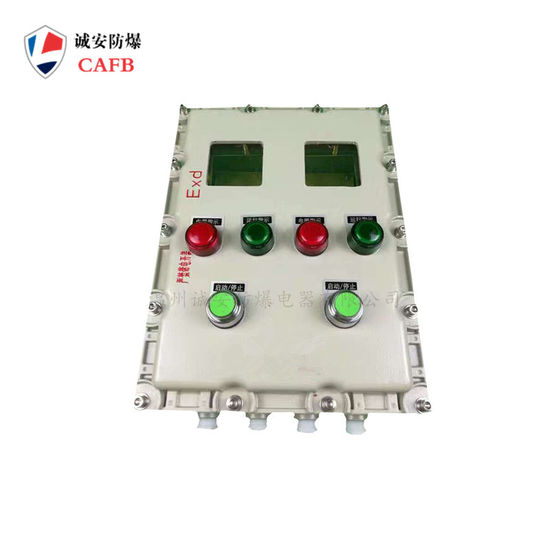 防爆控制箱訂做 內(nèi)置電力儀表開(kāi)面板視察