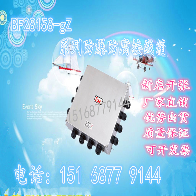 BF28158防爆防腐接線(xiàn)盒