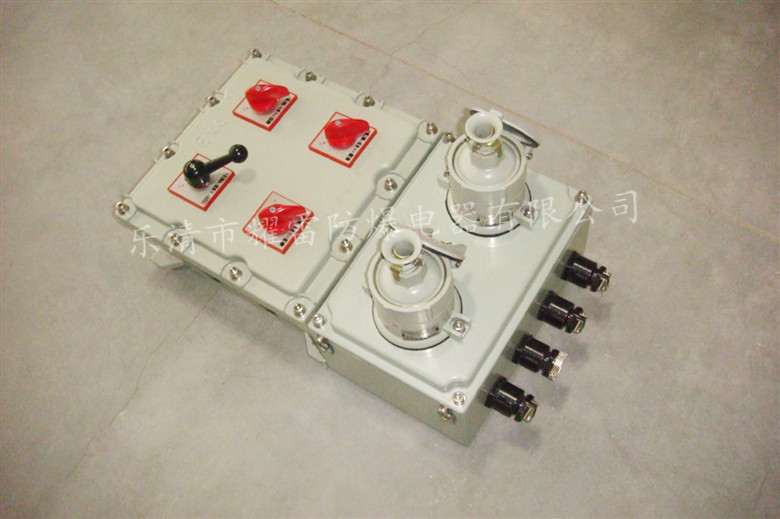 BXS-IIB、IIC系列防爆檢修電源插座箱
