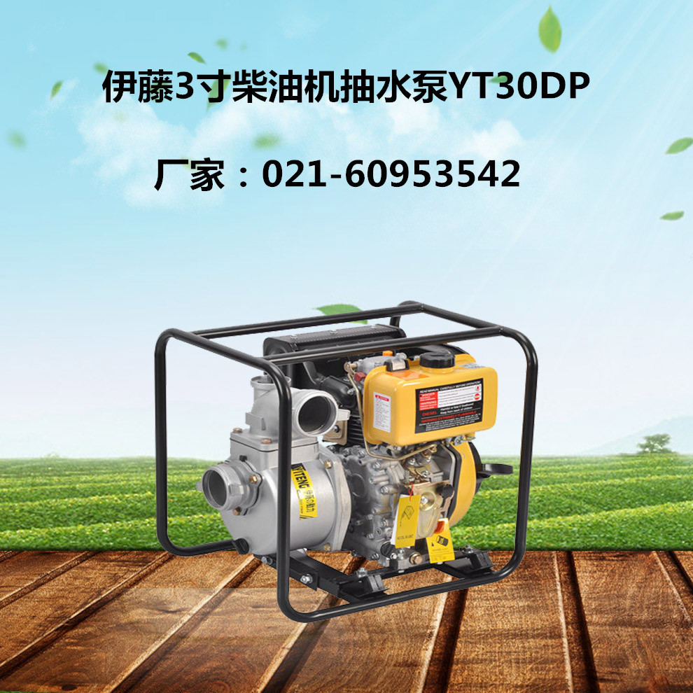 上海伊藤YT30DP
