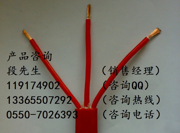 YGZRB-3*10硅橡膠扁平電纜