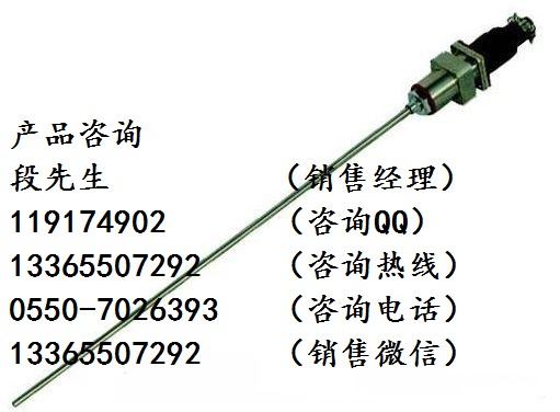 WRMK-161-0~1100度圓接插式鎧裝熱電偶