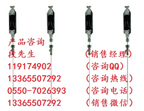 WZPK-174A級(jí)扁接插式鎧裝熱電阻