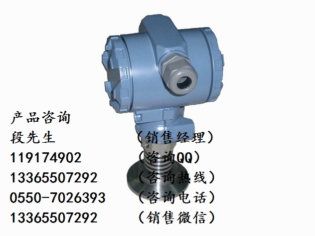 3051FG-2-S-2D-F-1衛(wèi)生型表壓變送器
